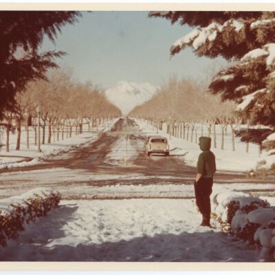 Print, Photographic