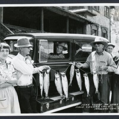 Print, Photographic