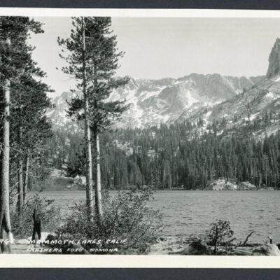 Print, Photographic