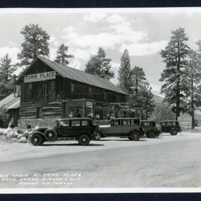 Print, Photographic