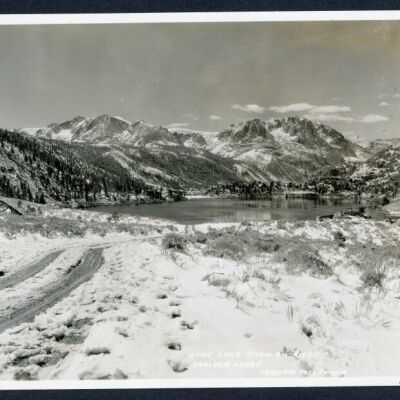 Print, Photographic