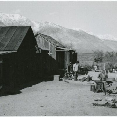 Print, Photographic