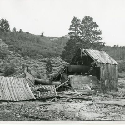 Print, Photographic