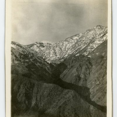 Print, Photographic
