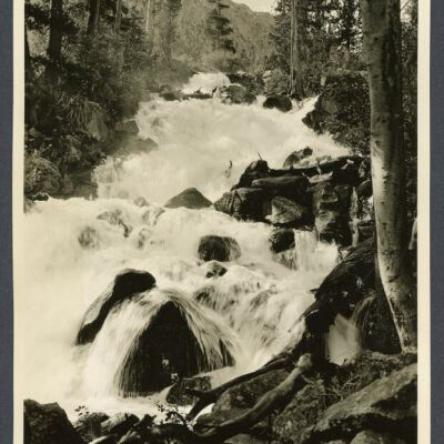 Print, Photographic