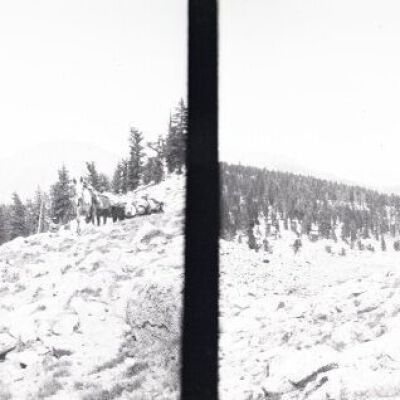 Negative