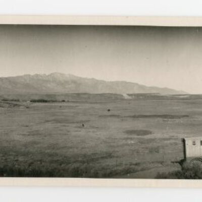 Print, Photographic