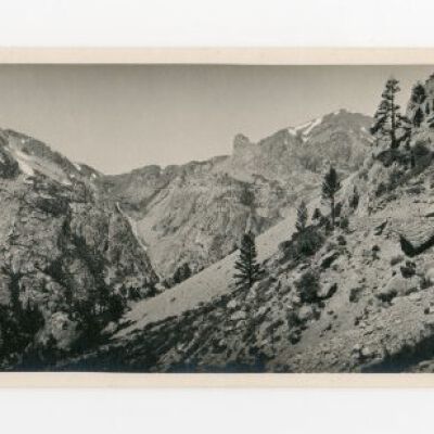 Print, Photographic