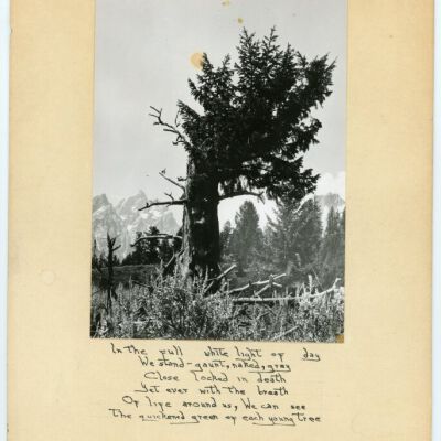 Print, Photographic