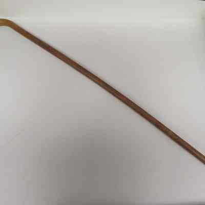 Cane