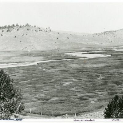 Monache Meadow