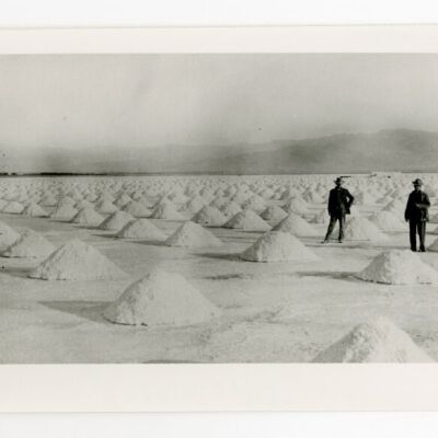 Print, Photographic