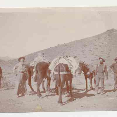 Print, Photographic