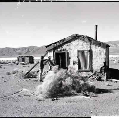 Print, Photographic