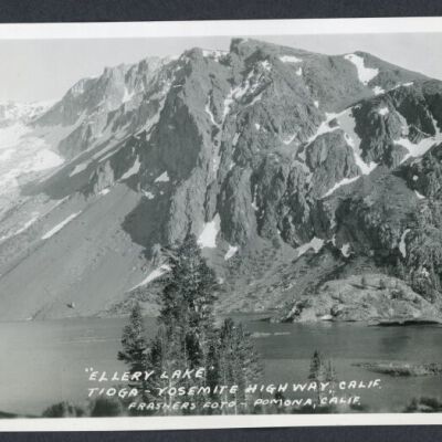 Print, Photographic