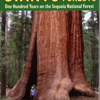 Giants Among the Forests: One Hundred Years on the Sequoia National Forest