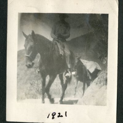 Print, Photographic