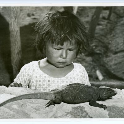 Print, Photographic