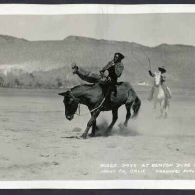 Print, Photographic