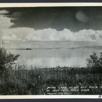 Print, Photographic