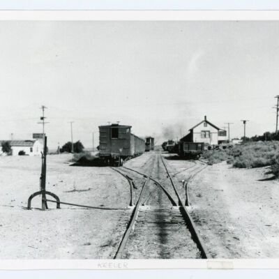 Print, Photographic