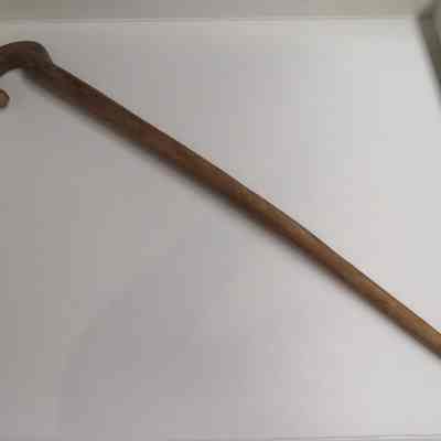 Cane