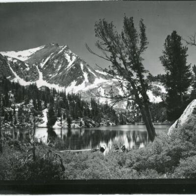 Print, Photographic