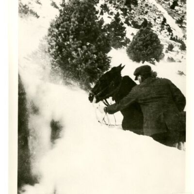 Print, Photographic