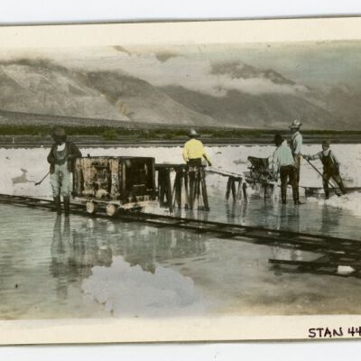 Print, Photographic