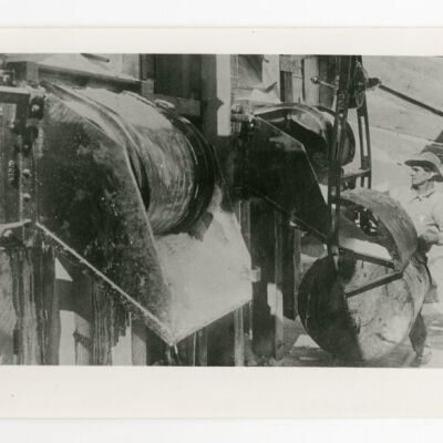 Print, Photographic