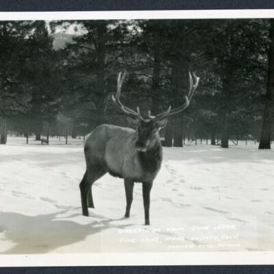 Print, Photographic