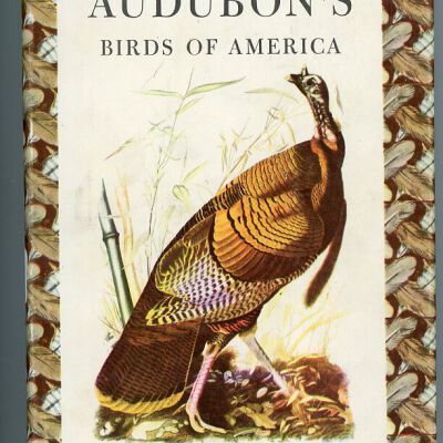 Audubon's Birds of America, Popular Edition