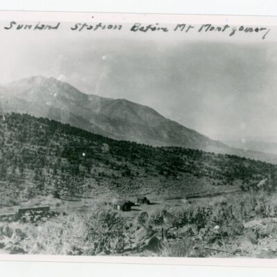 Print, Photographic