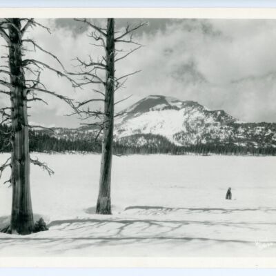Print, Photographic