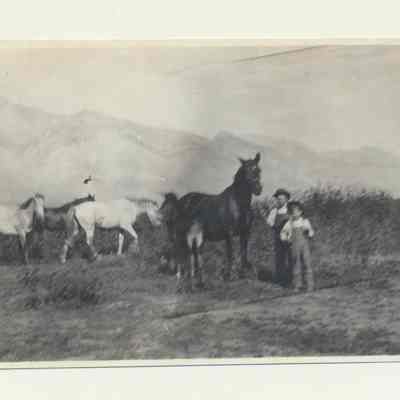 Print, Photographic