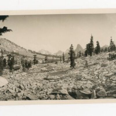 Print, Photographic