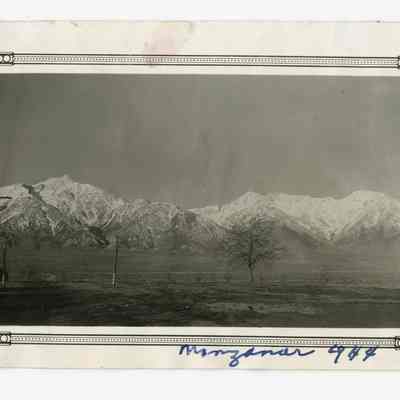 Print, Photographic