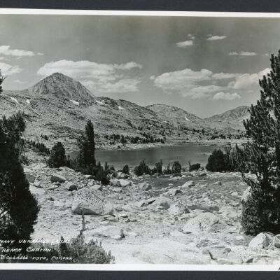 Print, Photographic