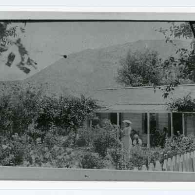 Print, Photographic