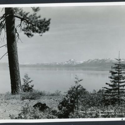 Print, Photographic