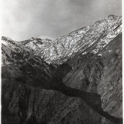 Print, Photographic