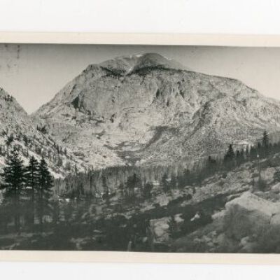 Print, Photographic
