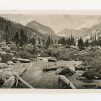 Print, Photographic