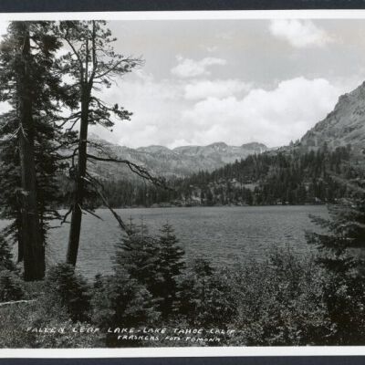 Print, Photographic