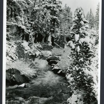 Print, Photographic