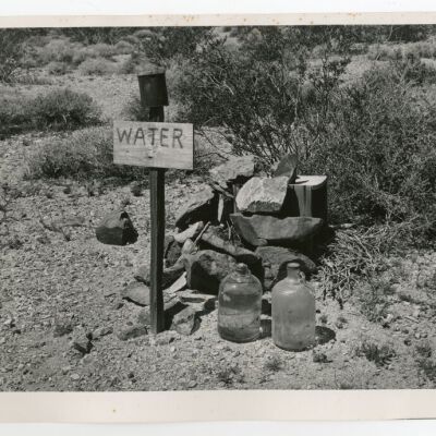 Print, Photographic