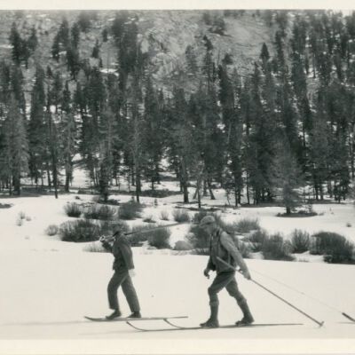 Print, Photographic