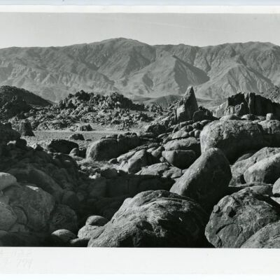 Print, Photographic