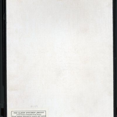 Resolution: 100 dpi
