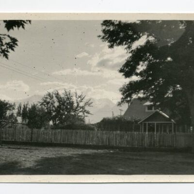Print, Photographic